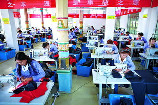 為農(nóng)民鋪就家門口的致富路 浙江省產(chǎn)業(yè)援疆 百村千廠 工程掠影