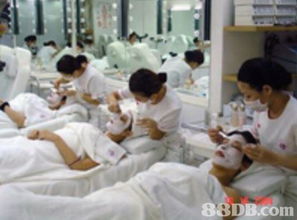 愛妮美容專業(yè)培訓(xùn)學(xué)院 提供發(fā)型設(shè)計課程 美甲課程 特效化妝課程等服務(wù)